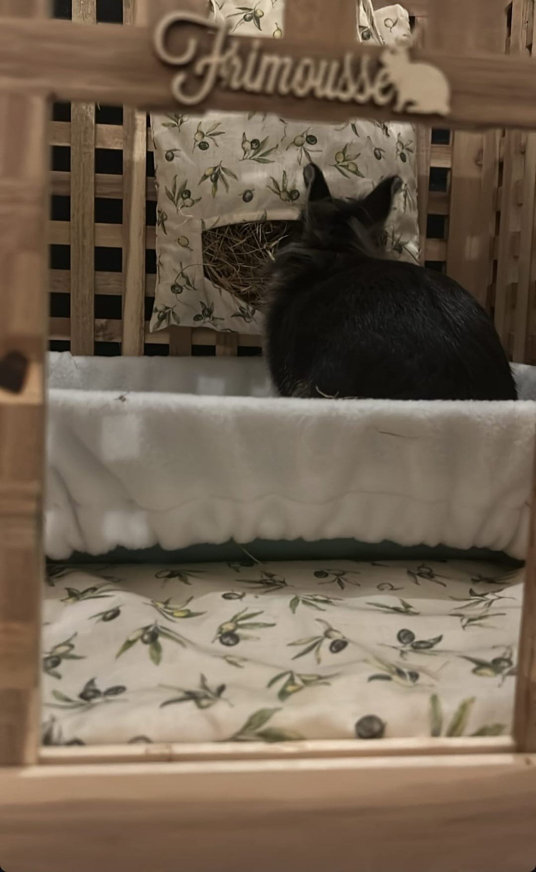 WhatsApp Image 2026-01-03 at 15.36.32 (2)