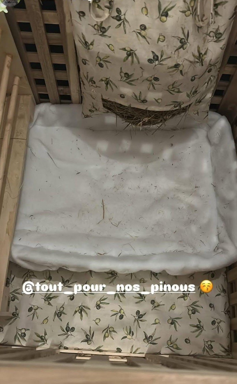 WhatsApp Image 2026-01-03 at 15.36.33