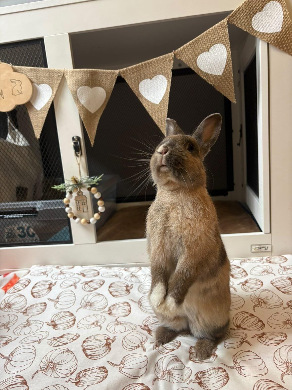 WhatsApp Image 2026-01-03 at 20.10.06