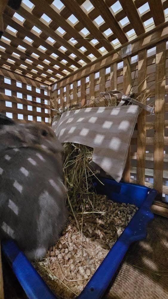 WhatsApp Image 2026-01-03 at 20.10.19 (3)