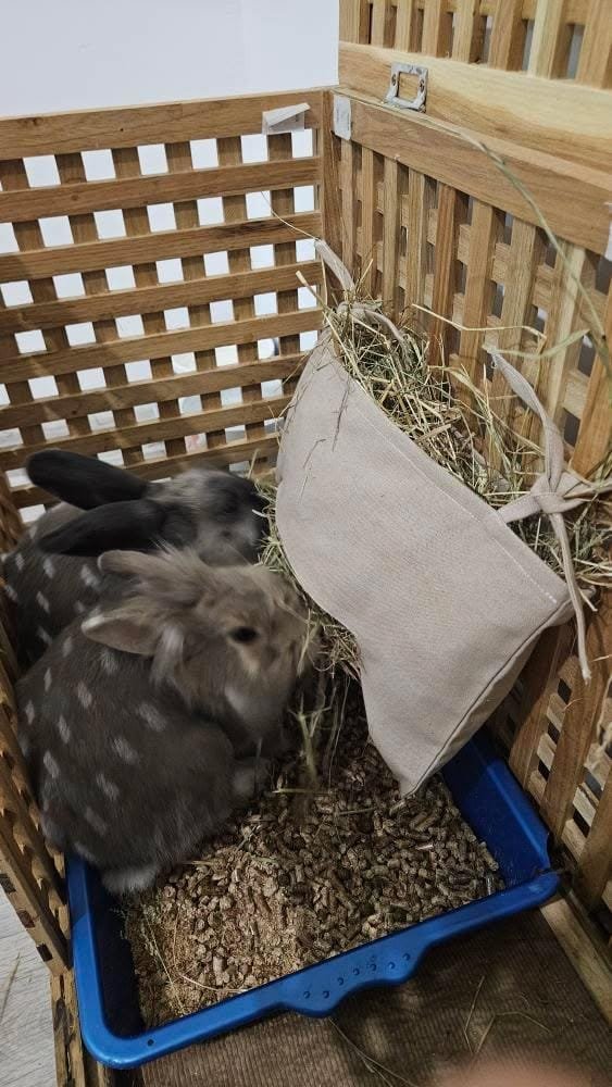 WhatsApp Image 2026-01-03 at 20.10.19 (4)