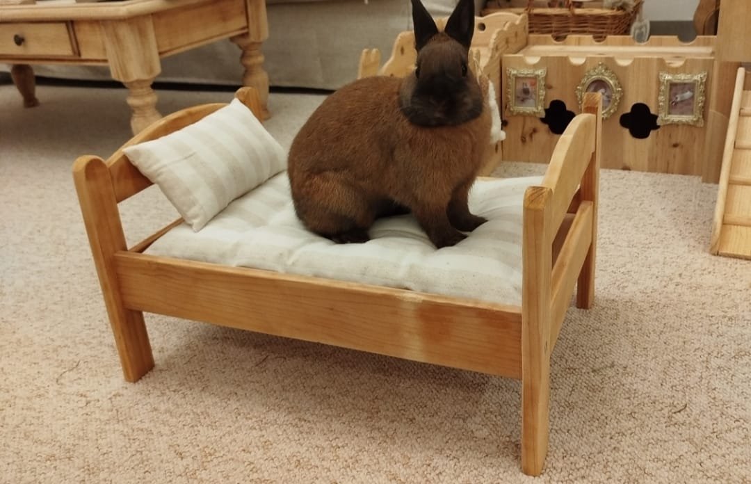 Matelas et coussin pour lit poupée IKEA double face été / hiver – Image 6