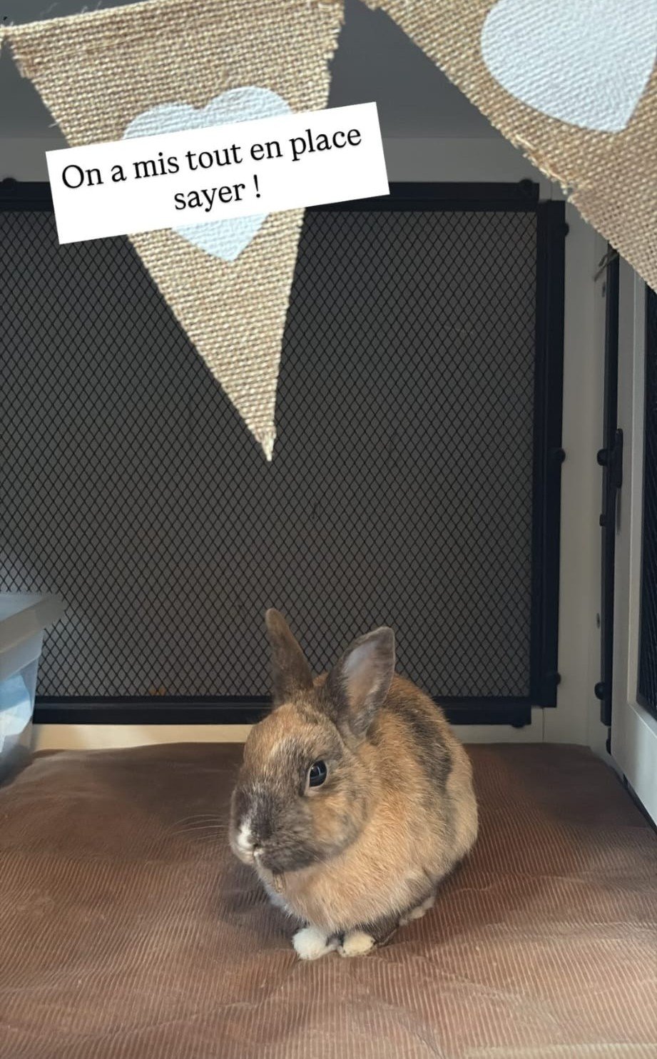 Tapis de sol double face été / hiver – Image 29