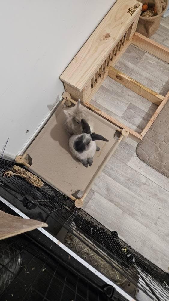 WhatsApp Image 2026-01-03 at 20.18.32 (4)