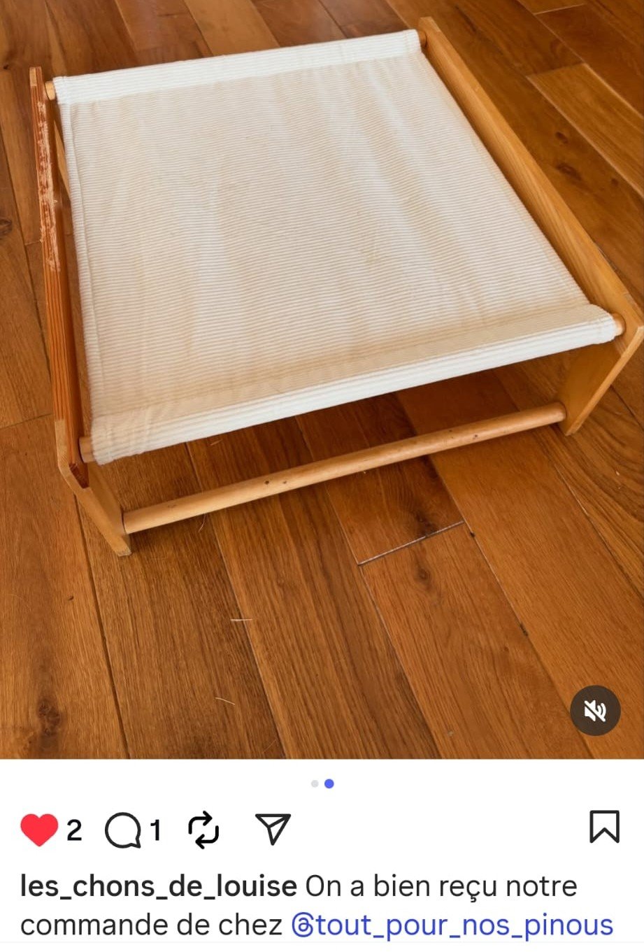 WhatsApp Image 2026-01-03 at 20.18.32