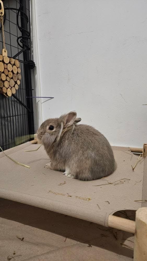 WhatsApp Image 2026-01-03 at 20.18.33 (1)