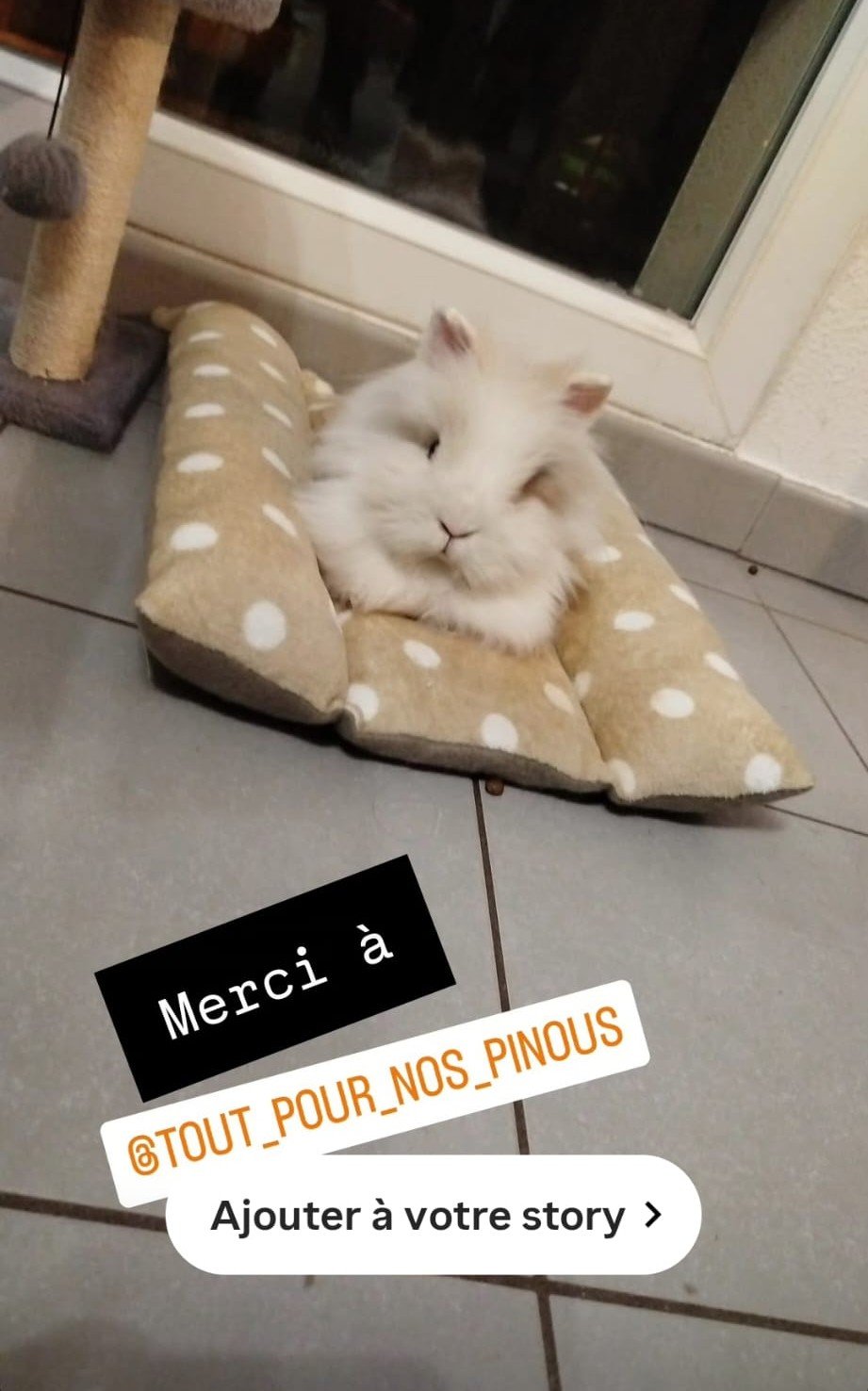 Coussin détente pour lapin double face été / hiver – Image 24