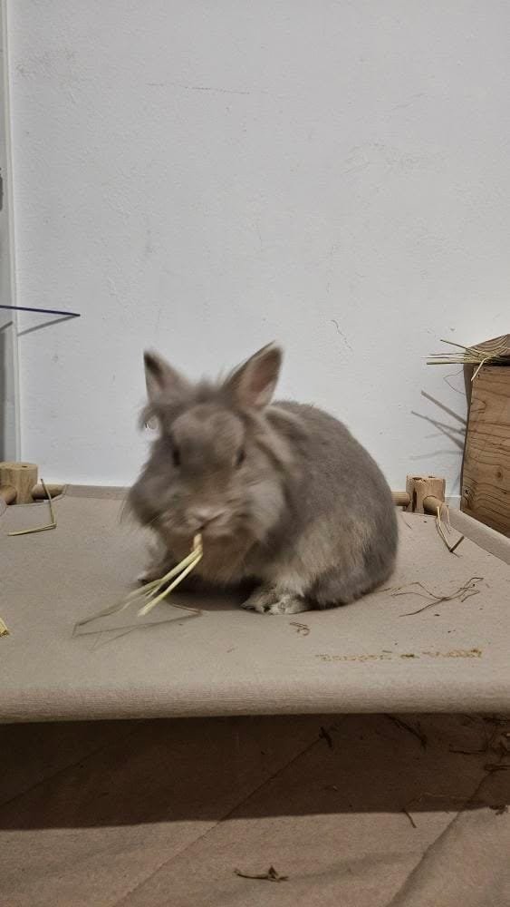 WhatsApp Image 2026-01-03 at 20.18.33