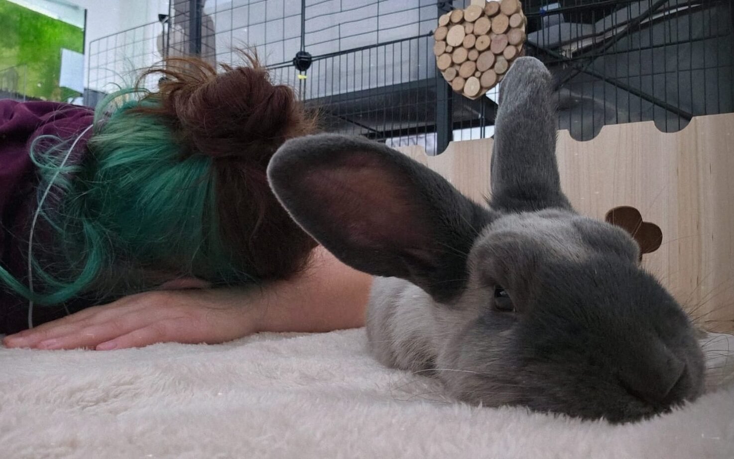 WhatsApp Image 2026-01-03 at 20.18.40 (3)