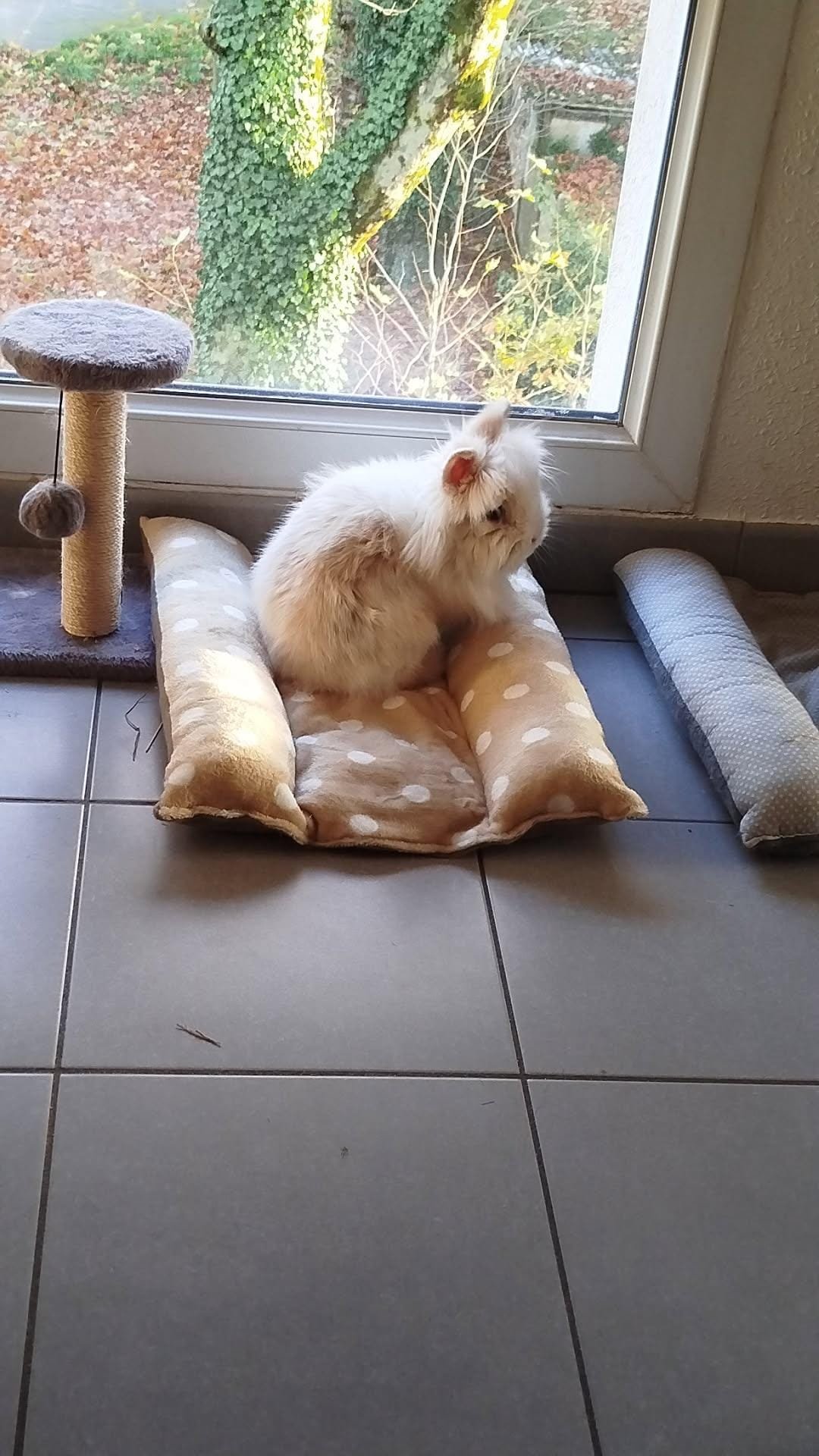 WhatsApp Image 2026-01-03 at 20.18.49