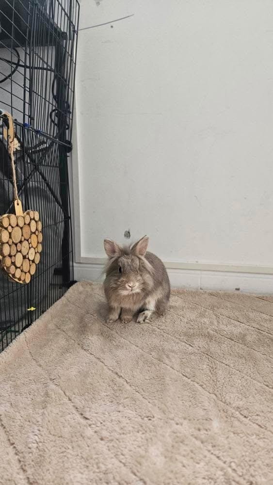 WhatsApp Image 2026-01-03 at 20.18.50 (1)