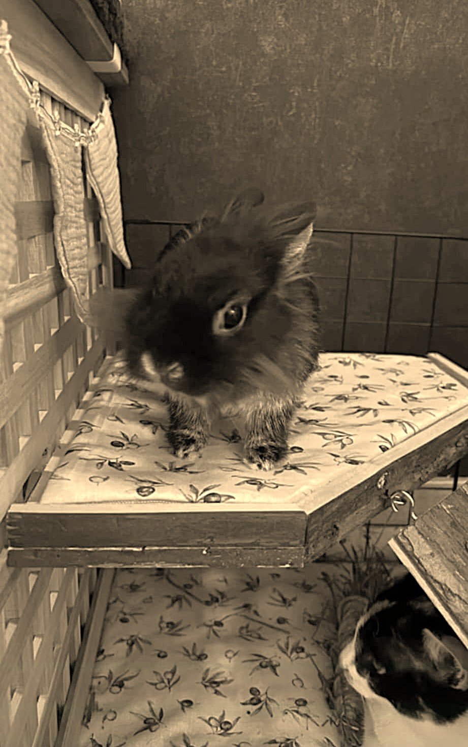 Tapis de sol double face été / hiver – Image 25