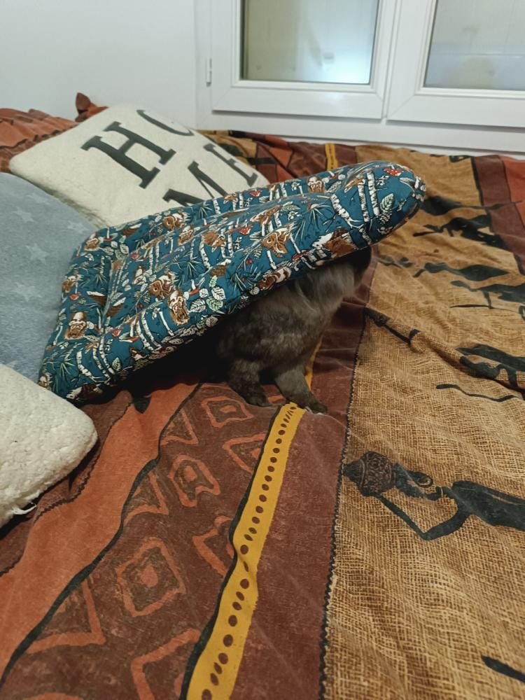 WhatsApp Image 2026-01-03 at 20.18.50 (3)