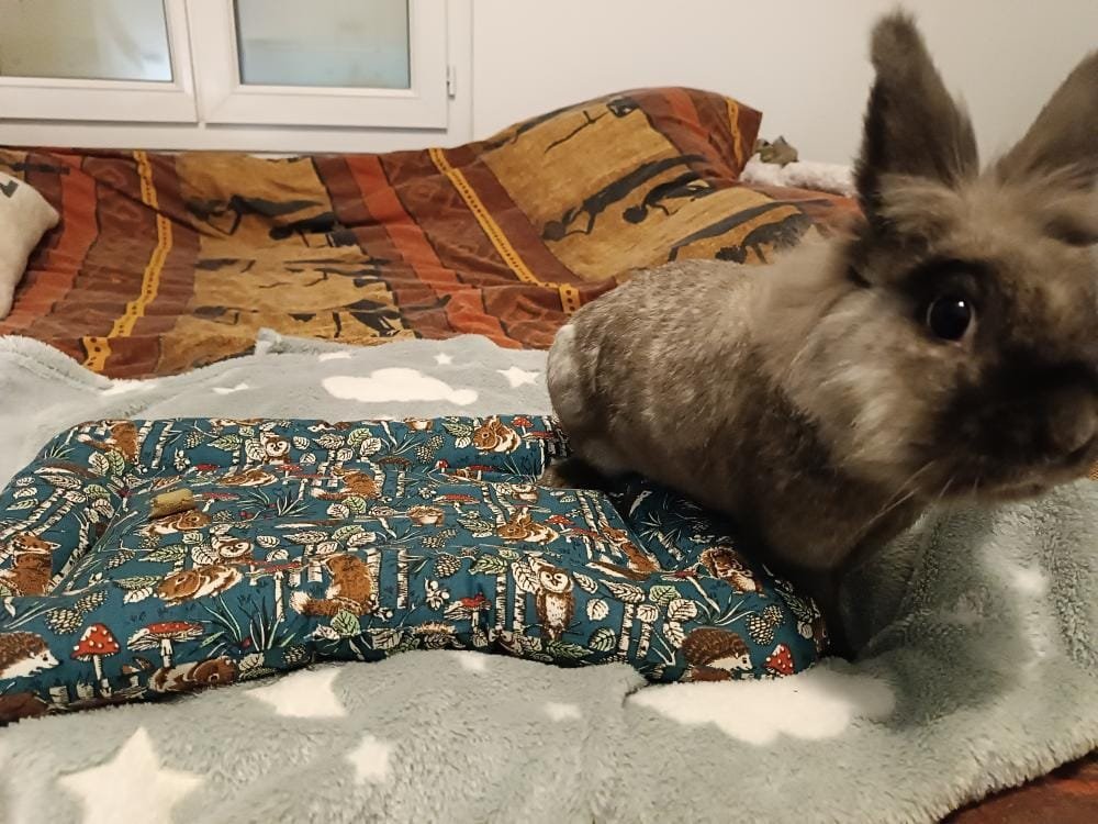 WhatsApp Image 2026-01-03 at 20.18.50 (4)