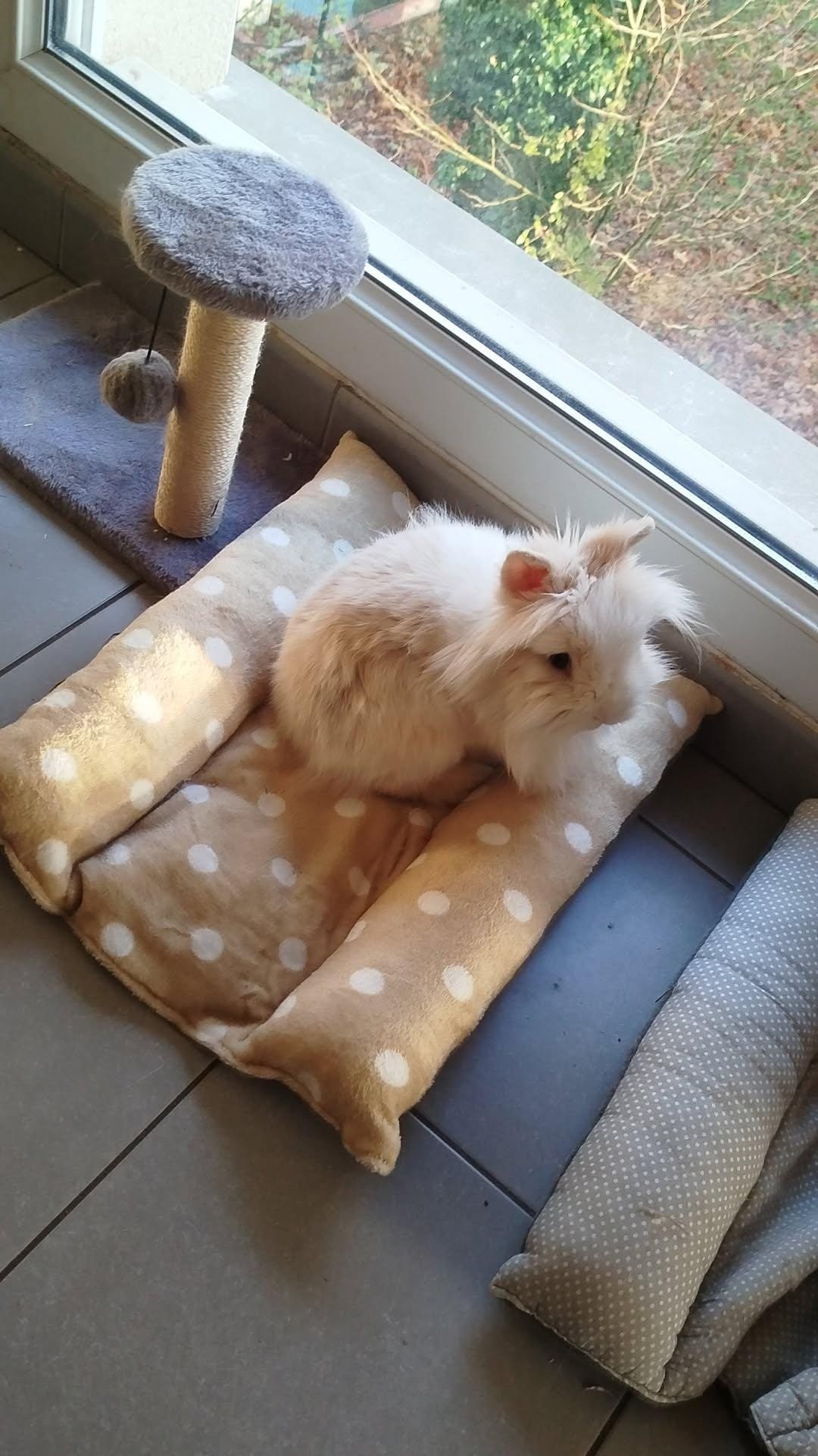 WhatsApp Image 2026-01-03 at 20.18.50