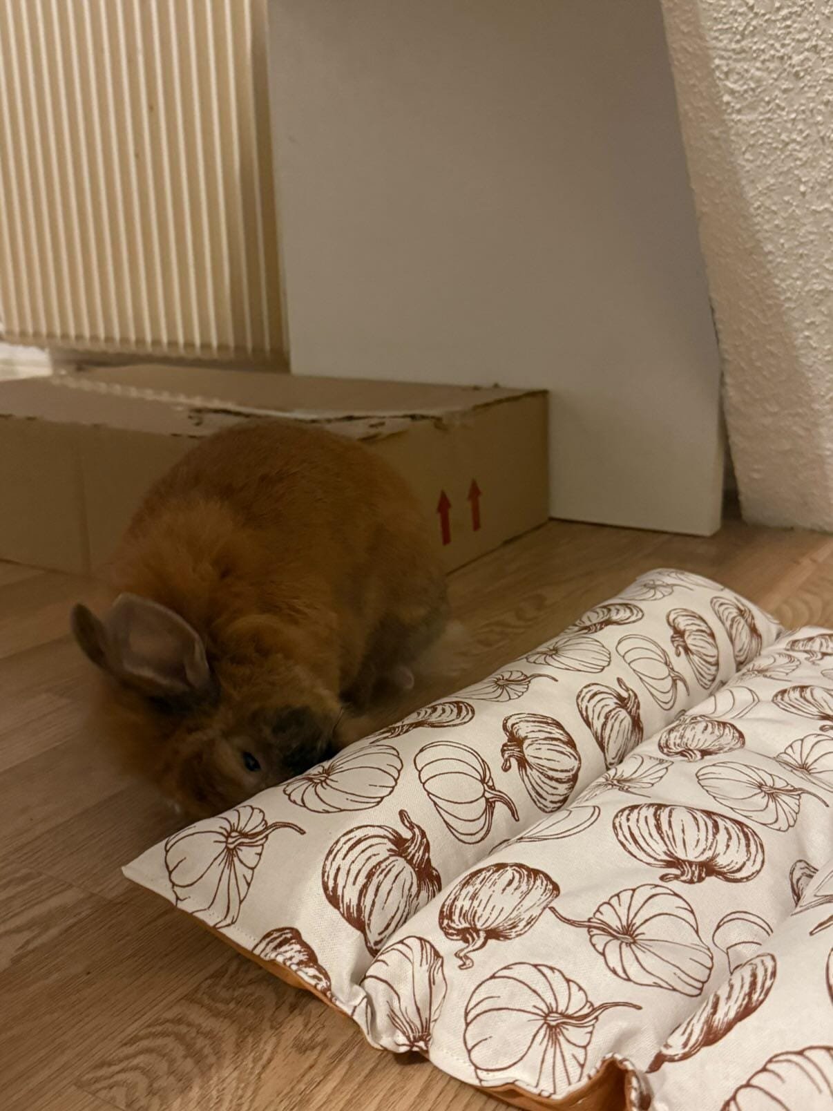 Coussin détente pour lapin double face été / hiver – Image 19