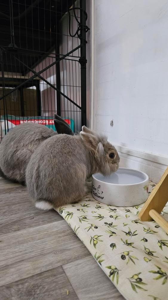 WhatsApp Image 2026-01-03 at 20.18.53 (7)