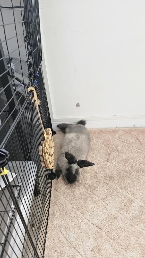 Grand tapis de sol double face été / hiver – Image 10