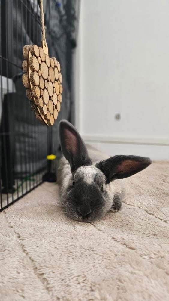 Grand tapis de sol double face été / hiver – Image 11