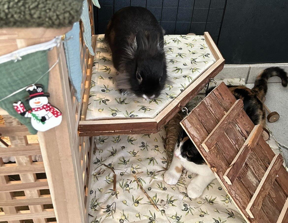 Tapis de sol double face été / hiver – Image 23