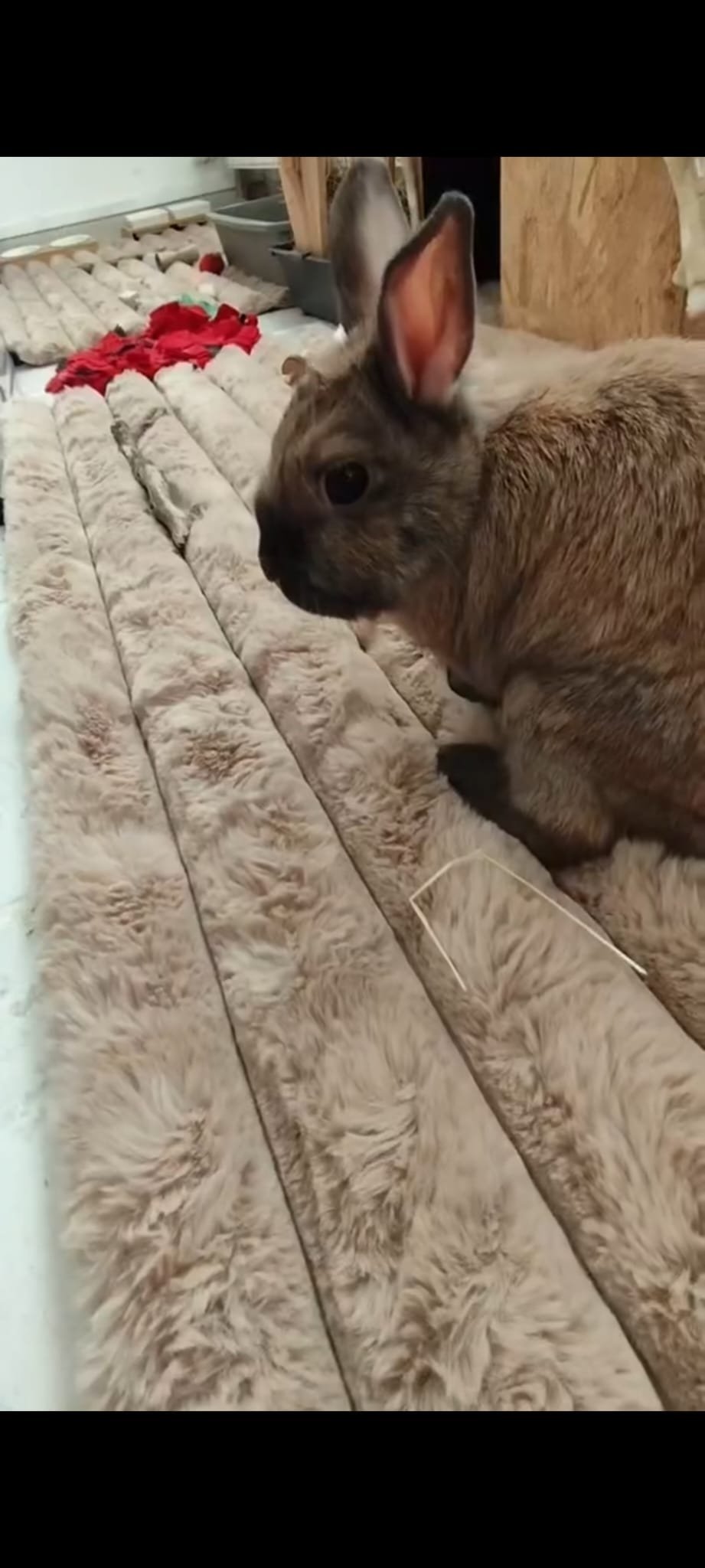 Grand tapis de sol double face été / hiver – Image 7