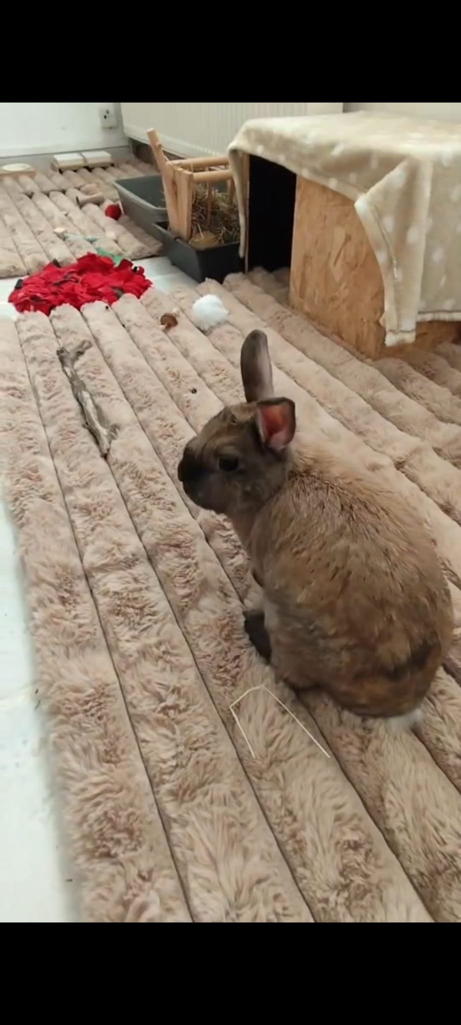 Grand tapis de sol double face été / hiver – Image 6