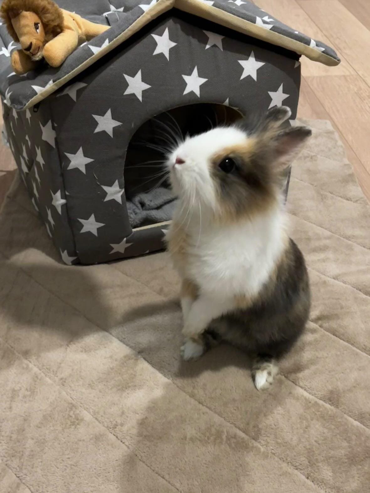 WhatsApp Image 2026-01-20 at 20.03.24 (1)