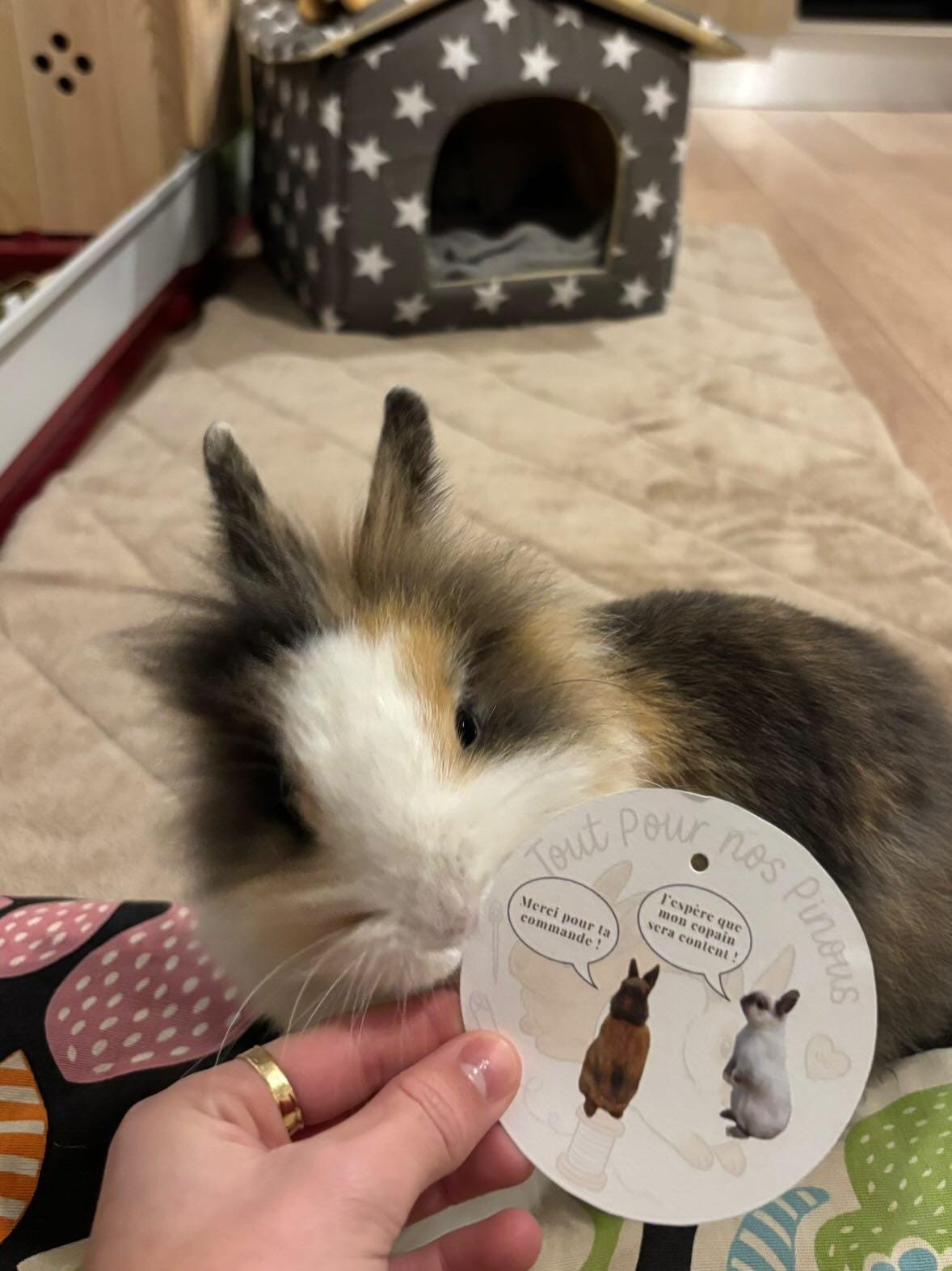 WhatsApp Image 2026-01-20 at 20.03.24