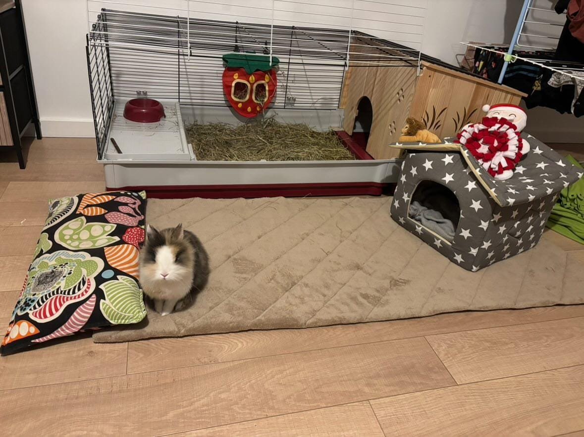 WhatsApp Image 2026-01-21 at 20.03.30 (1)