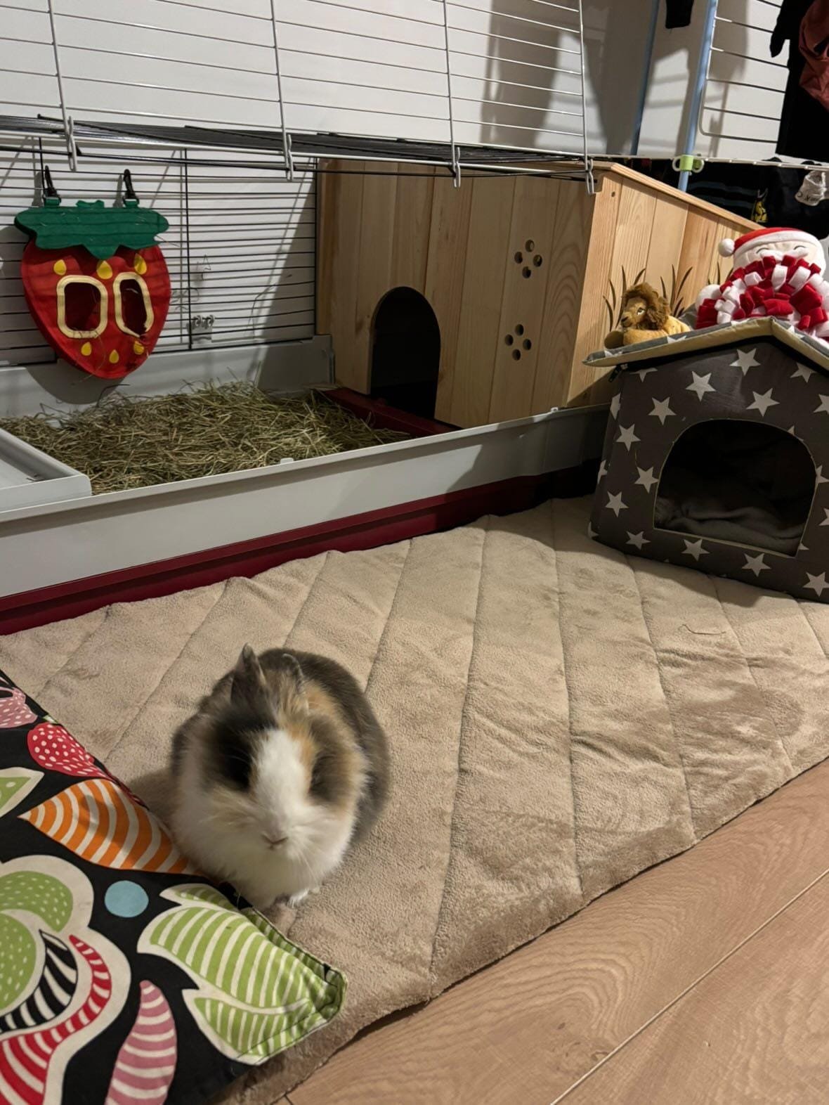 WhatsApp Image 2026-01-21 at 20.03.30